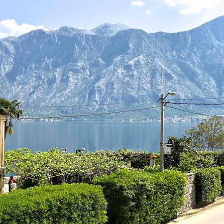 Apartments Asya Kotor Kültér fotó