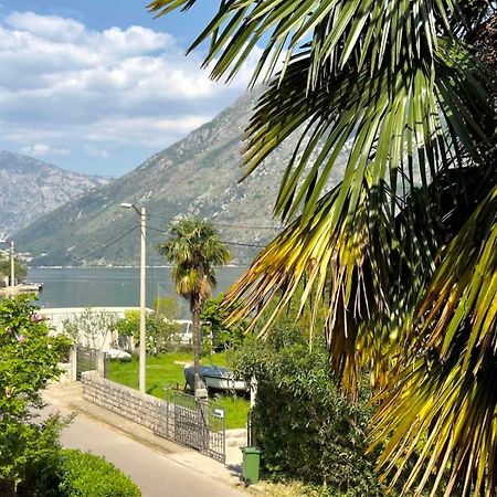 Apartments Asya Kotor Kültér fotó