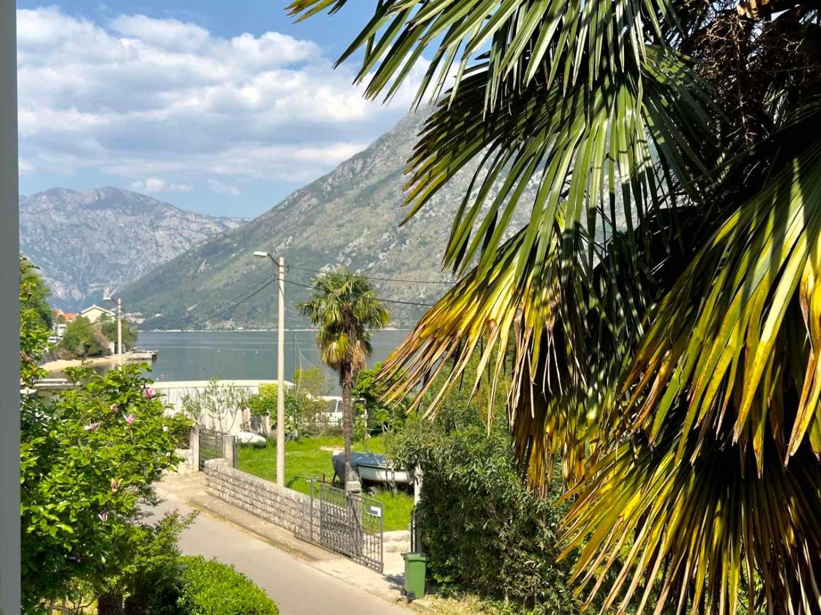 Apartments Asya Kotor Kültér fotó